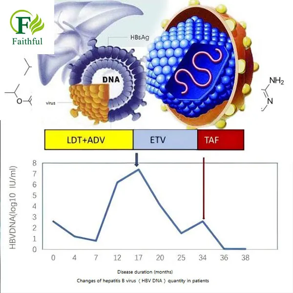 Product highlights of Tenofovir alafenamide hemifumarate